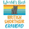 British Shorthair Gifts