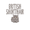 British Shorthair Gifts