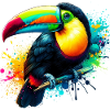 Toucan
