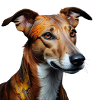 Herbstwindhund Porträt