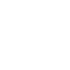 Geometric Bird