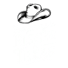 État du Texas Texans Texas
