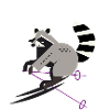 Cute Skier Raccoon–Fun and Dynamic