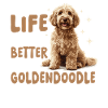 Hunderacers liv er bedre med en Goldendoodle