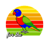 Lustige Regenbogenlori Sprüche