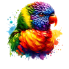 Rainbow Lorikeet Motif