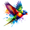 Rainbow Lorikeet Gift