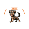 Café et Cesky fousek