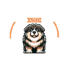 Coffee and Caucasian Ovcharka