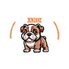 Café et bouledogue continental