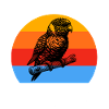 Équipe Rainbow Lori
