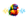 Regenbogenlori Herzlinie