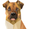 Geometric Boxer Dog Art