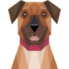 Geometric Rottweiler Dog Art
