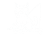 Cat fishing with sunglasses