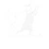 Cat with sunglasses playing golf