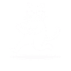 Cat with sunglasses playing football