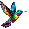 Hummingbird