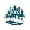 La Forêt de Brocéliande
