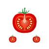 Gärtner Tomate Bauer Garten