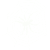 Spinne Spider