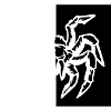 spider spider