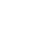 spider spider web