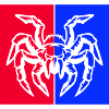 spider spider