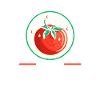 Gärtner Tomate Bauer Garten