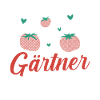 Gärtner Tomate Bauer Garten