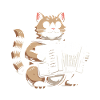 Accordion Cat