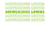 Lawn mower mowing