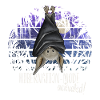 Hibernation mode activated! Chilling bat