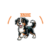 Coffee and Entlebucher Mountain Dog