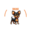 Café et Terrier Toy Anglais