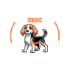 Coffee and Finnish Hound