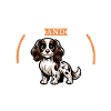Coffee and Epagneul Français