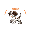 Coffee and German Shorthair