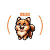 Coffee and German Spitz