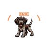 Coffee and German Wirehair