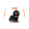 Coffee and Gordon Setter