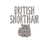British Shorthair Gifts