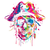 Pirate Captain Skull Popart