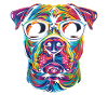 Pitbull Pittie Dog Popart