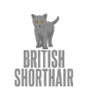 British Shorthair Gifts