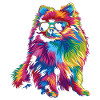 Pomeranian Dog Sunglasses Popart