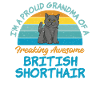 British Shorthair Gifts
