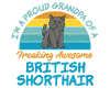 British Shorthair Gifts