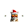 Noël chat