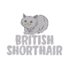 Cadeaux British Shorthair